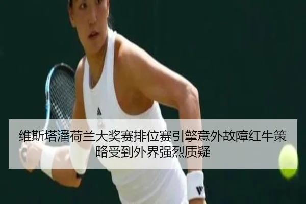 wei-si-ta-pan-he-lan-da-jiang-sai-pai-wei-sai-yin-qing-yi-wai-gu-zhang-hong-niu-ce-lve-shou-dao-wai-jie-qiang-lie-zhi-yi-3-452.jpg