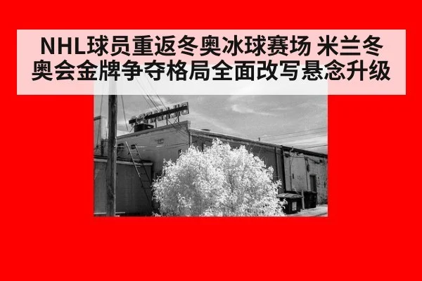 NHL球员重返冬奥冰球赛场 米兰冬奥会金牌争夺格局全面改写悬念升级